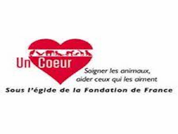 FONDATION Un Coeur